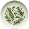Rosemary Leaf Oil