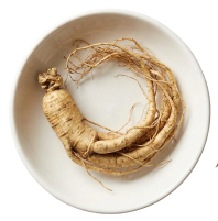 Panax Ginseng Root